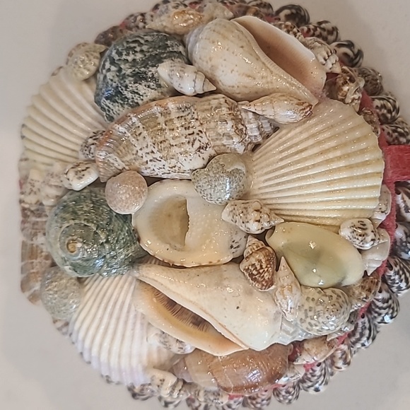 Vintage Shell Box - Picture 7 of 7